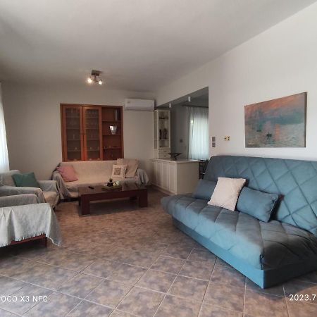 PalaiónTsiflíkion Garden House 빌라 외부 사진