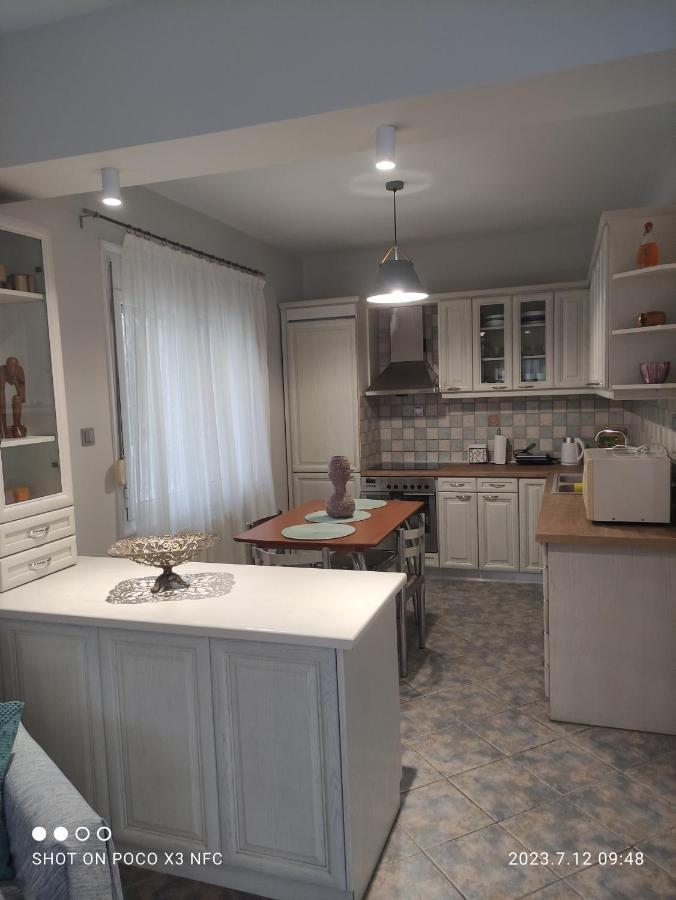 PalaiónTsiflíkion Garden House 빌라 외부 사진