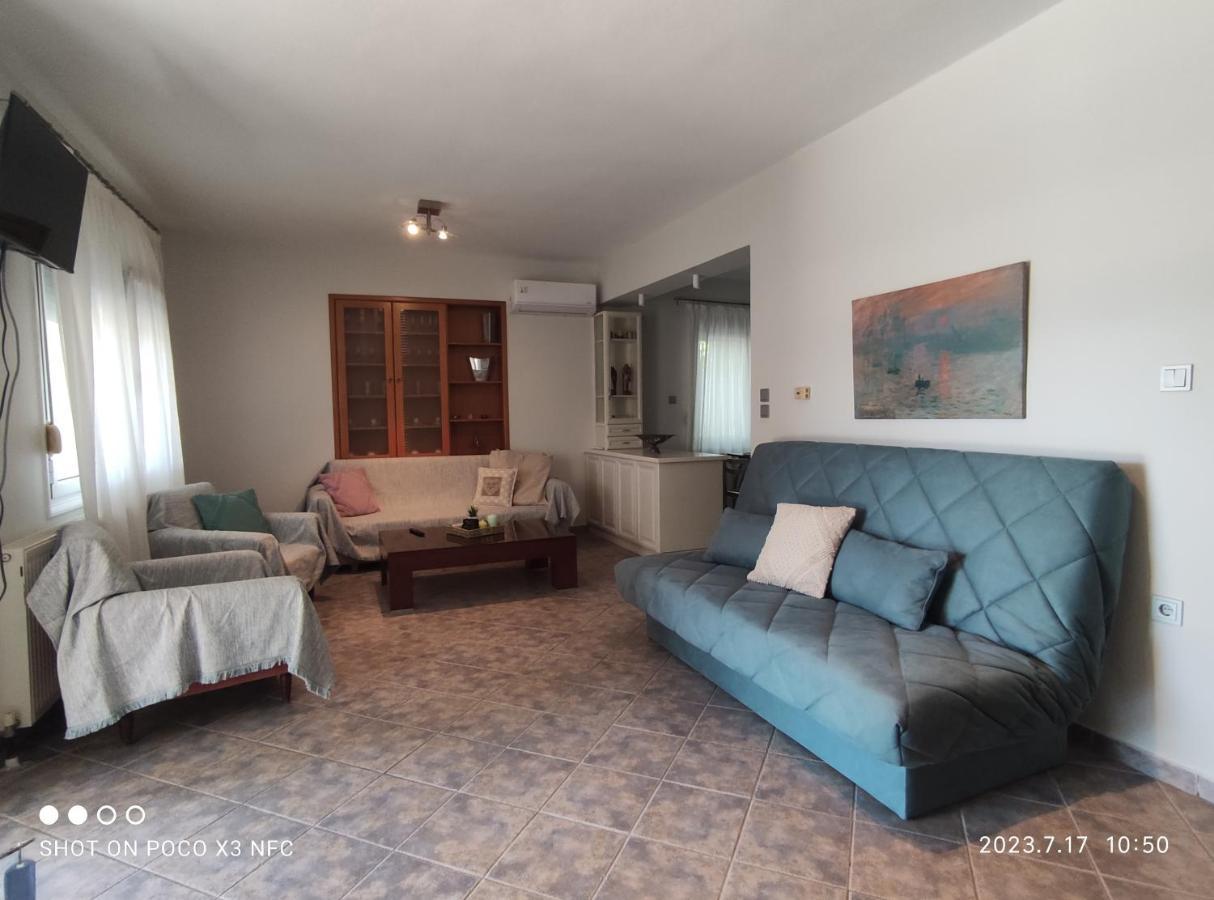 PalaiónTsiflíkion Garden House 빌라 외부 사진