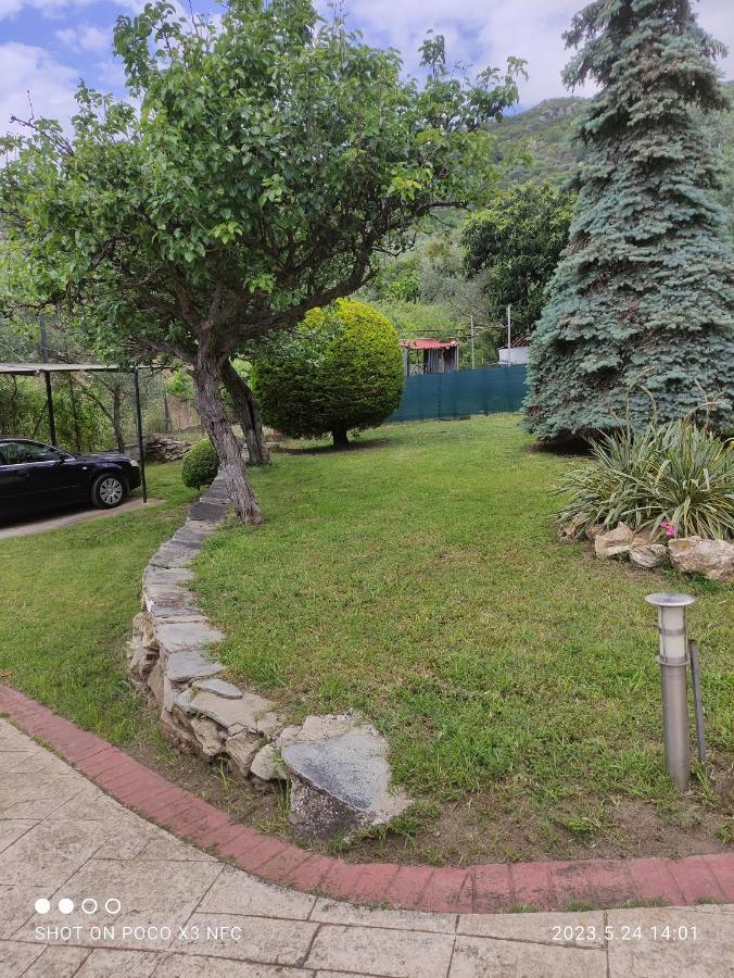 PalaiónTsiflíkion Garden House 빌라 외부 사진